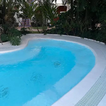Golden Mille By Deihu Experiences * Arona (Tenerife)